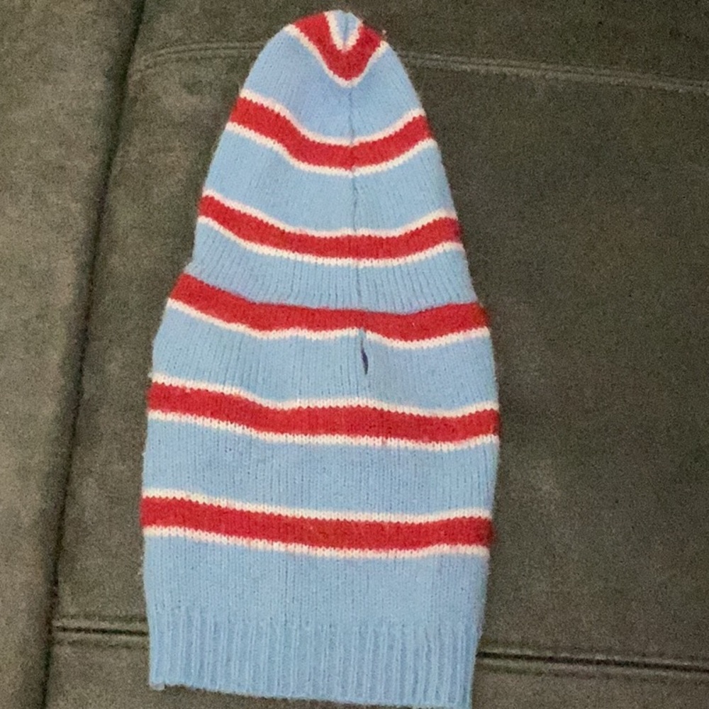 Hooded dog sweater